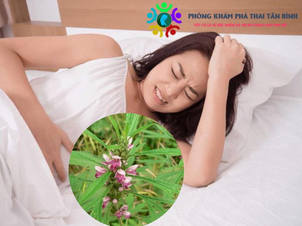 phá thai bằng cao ích mẫu có hiệu quả không